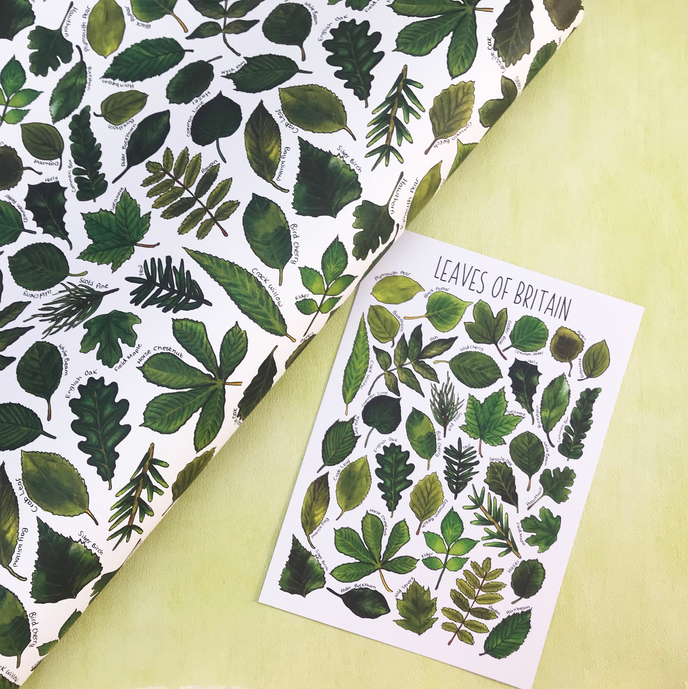Leaves Wrapping Paper leaf type paper British Leaves Gift Etsy