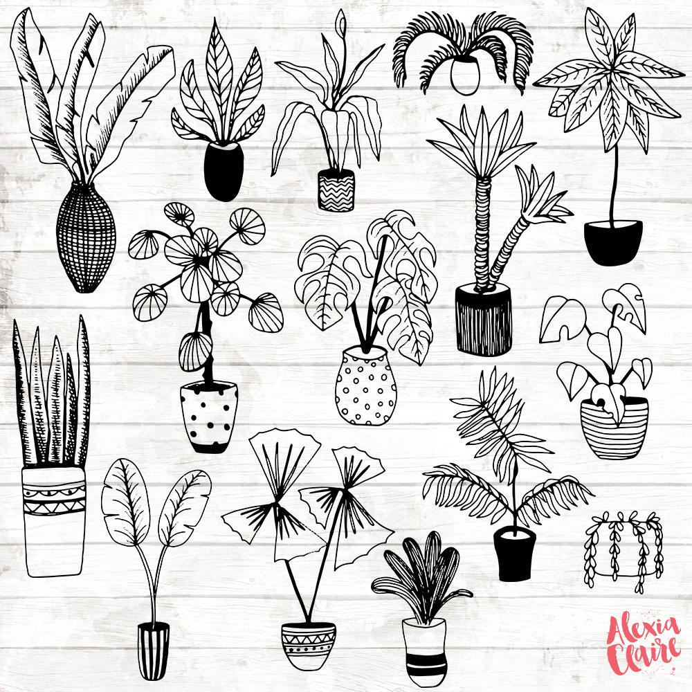 House Plant Clipart Hand Drawn Plants Clipart Potted Plant Etsy UK
