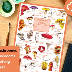 Mushrooms spotting worksheet - educational wildlife printable