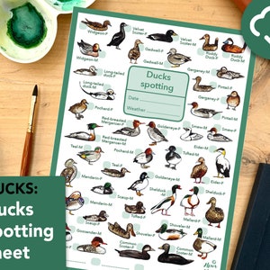 May include: A green and white printable duck spotting sheet with illustrations of different types of ducks, including the mallard, teal, and goldeneye. The sheet includes spaces to record the date, weather, and the type of duck spotted.