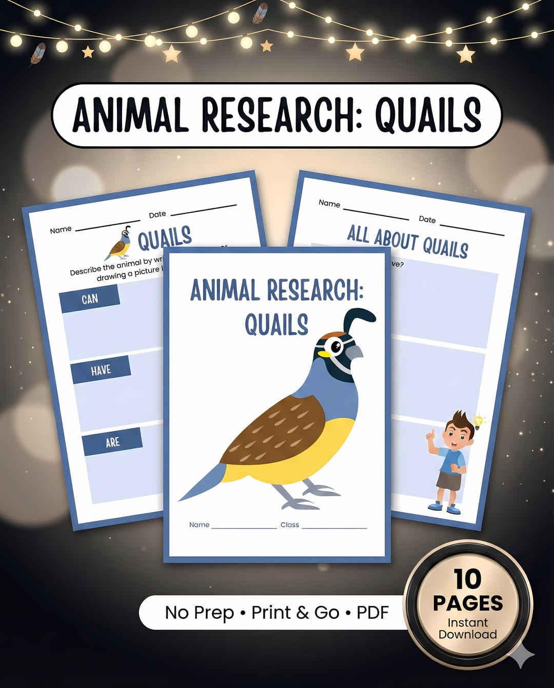 Quail Animal Research Packet | All About Quails Report Writing Template ...