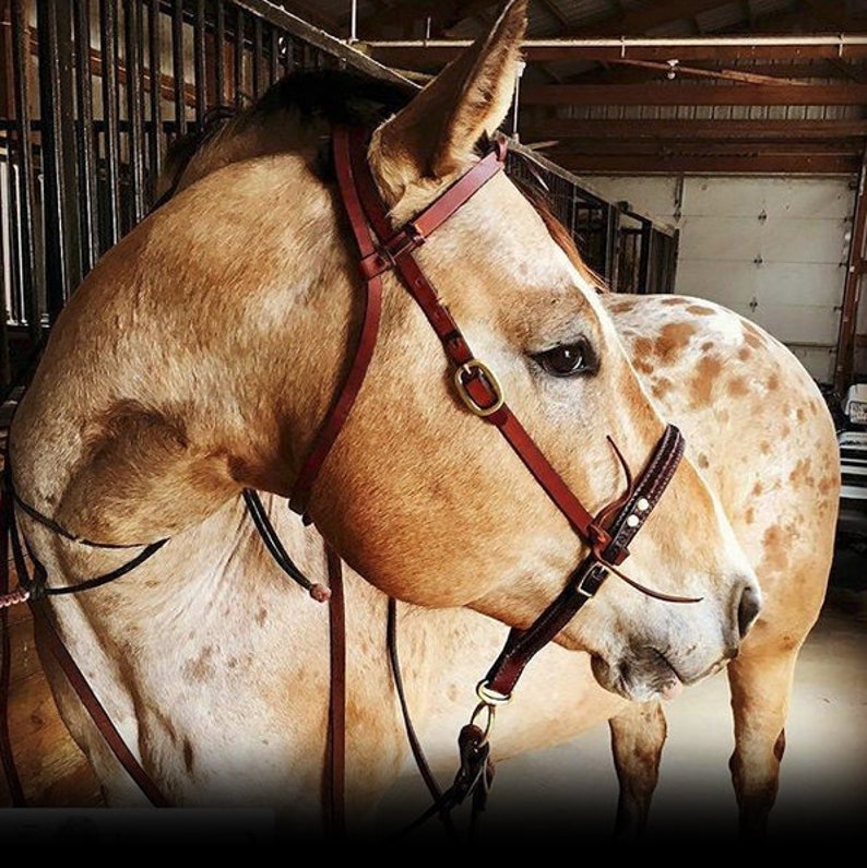 Cowboy Tack Vaquero Flat Braided Rawhide Bosal Hanger