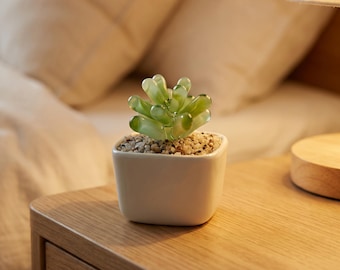 Liuli Succulent Planter, Mini Faux Plant Decor for Desk Shelf, Botanical Gift, Minimal Home Office Accent