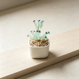 Suckulentkruka i glas, minikruka för skrivbord, accessoar för kontorshyllor, present till växtälskare, modern botanisk inredning
