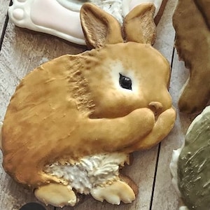 The Floured Canvas Bunny #5 Cookie Cutter and Fondant Cutter and Clay Cutter