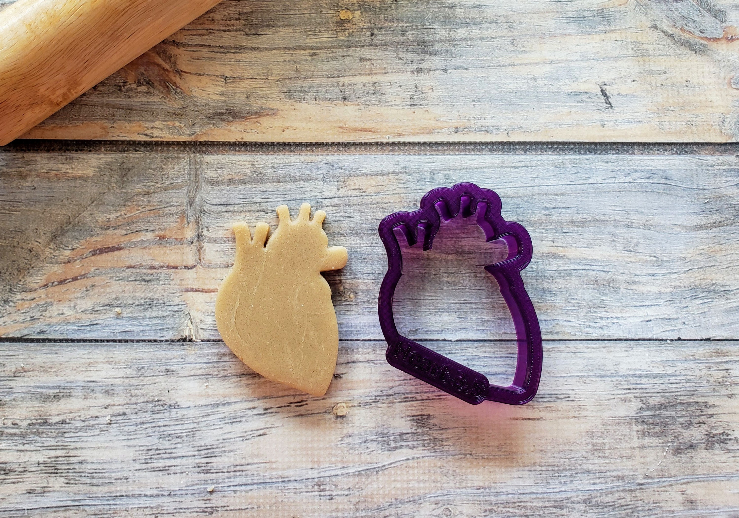 Anatomical Heart Cookie Cutter and Fondant Cutter and Clay Etsy