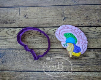 Brain Cookie Cutter and Fondant Cutter and Clay Cutter
