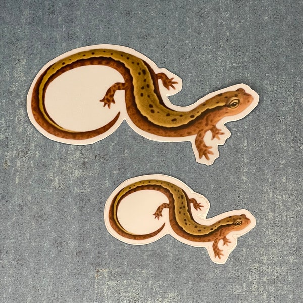 Northern Two-lined Salamander Stickers