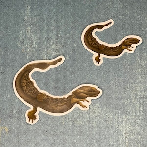 May include: Two brown salamander stickers with detailed illustrations, set against a textured grey background. The stickers feature the salamanders in a curved pose, showcasing their textured skin and small limbs. The stickers have a white border.