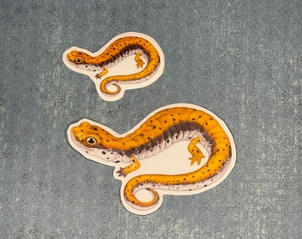 Four-toed Salamander Stickers