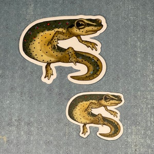 Eastern Newt Stickers