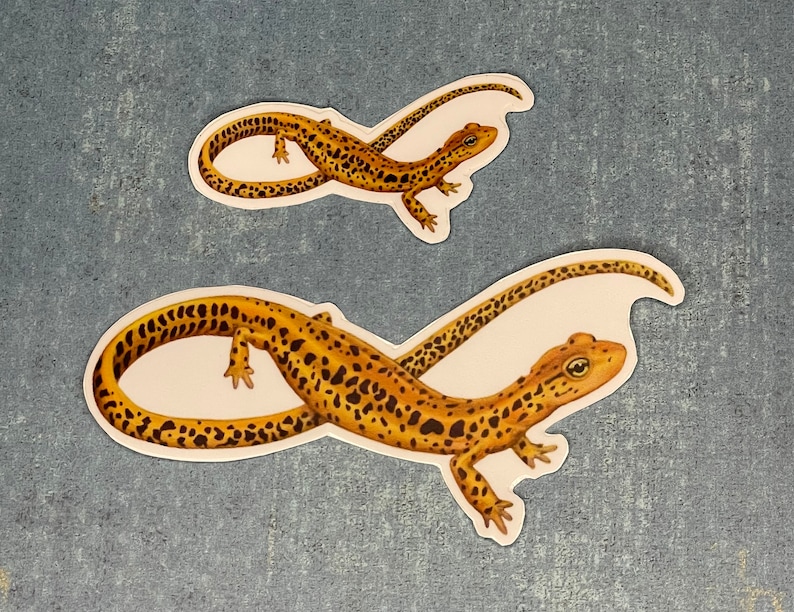 Long-tailed Salamander Stickers image 1