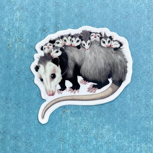 Virginia opossum sticker