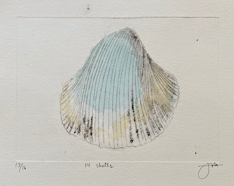 Handmade - 14 shells - etching artwork