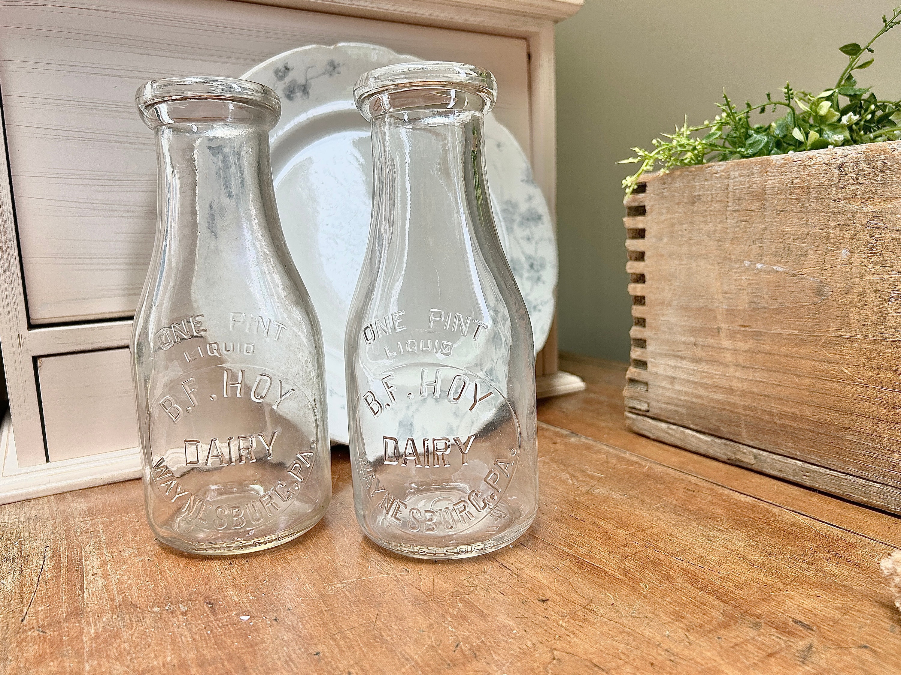 Vintage B F Hoy Dairy Milk Bottles - Farmhouse Decor - Set of 2