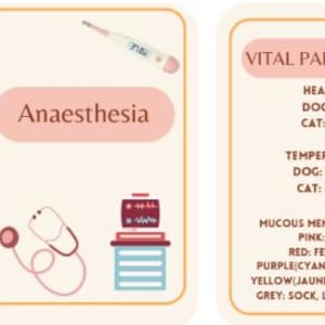 Veterinary nursing guides to help you understand anaesthesia and monitoring