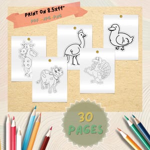 May include: A collection of printable coloring pages featuring farm animals, including a cow, duck, turkey, and ostrich. The text "PRINT ON 8.5x11" is displayed on a banner. The image also includes the text "30 PAGES" on a green circular badge.