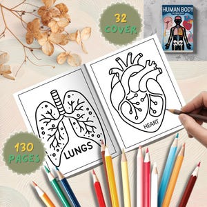 May include: An open coloring book with illustrations of lungs and a heart, labeled with the words "LUNGS" and "HEART". The book is surrounded by colored pencils and a small book titled "HUMAN BODY COLORING BOOK". The cover reads "32 COVER" and "130 PAGES".
