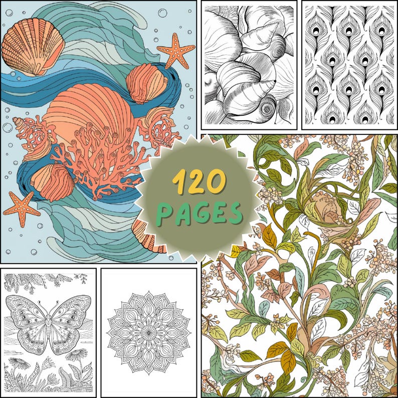 May include: A selection of colouring book pages with diverse designs. The pages showcase illustrations of seashells, peacock feathers, floral patterns, a butterfly, and a mandala. The cover indicates the book contains 120 pages.