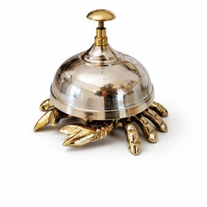 Campana de mano de tortuga / Campana decorativa con acabado pulido / Decoración náutica costera para el hogar. Artículo coleccionable.
