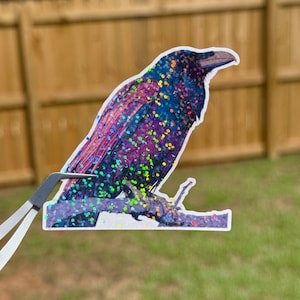 Holographic Raven Vinyl Decal | Bird Sticker | Crow Sticker | Witch Familiar Sticker | Raven Laptop Decal | Holographic Raven Sticker 3&quot;