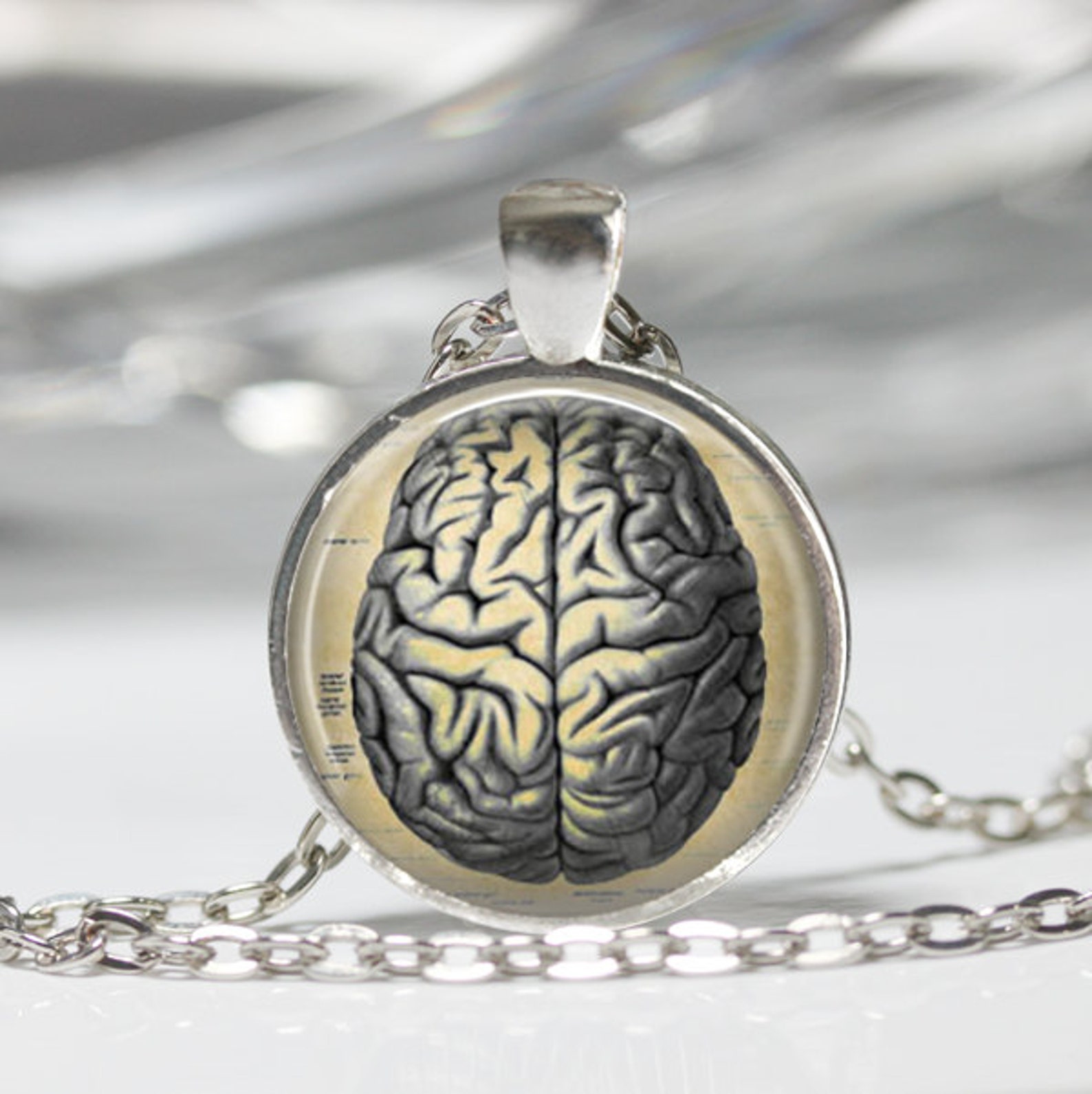 Brain Necklace Human Anatomy Jewelry Science Medical Steampunk Etsy