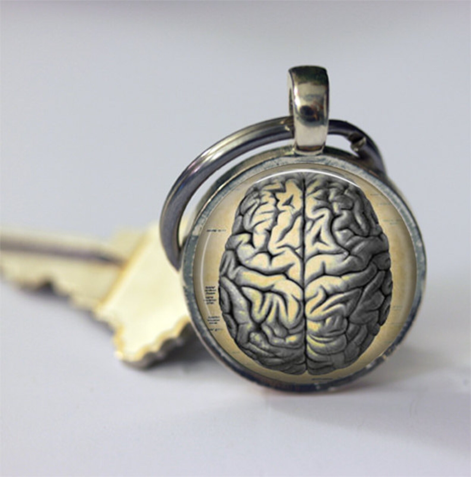 Human Brain Keychains, Articulating Human Brain Anatomy Keychain