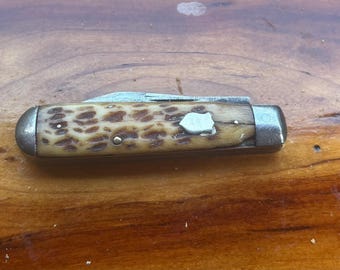 Rare Antique Winchester Bone Handled 2 blade pocket Knife