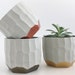 see more listings in the Concrete Planters section