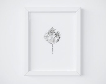 Printable Wall Art - Minimal Art featuring Black and White Ink Print from Real Aspen Leaf for Your Black and White Botanical Wall Art