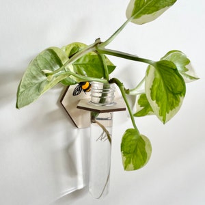 Propagation Wall Hung Bud Vase - Propagation Station for Your Honey Bee Decor, Bumble Bee Farmhouse Decor, Gift for Her, or Plant Lover Gift