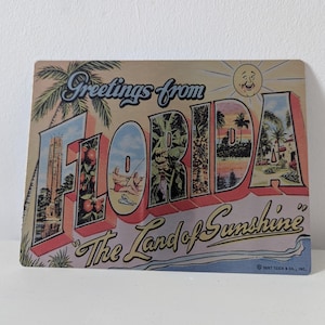 May include: A vintage postcard from Florida, featuring the text "Greetings from Florida, The Land of Sunshine." The design includes illustrations of palm trees, a smiling sun, and retro-style depictions of Florida scenes.