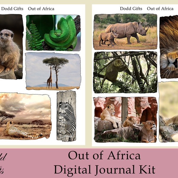 African File Folder Etsy
