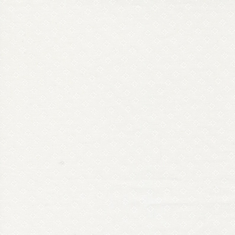 Coriander Seeds 2914211 by Corey Yoder for Moda Fabrics. Etsy