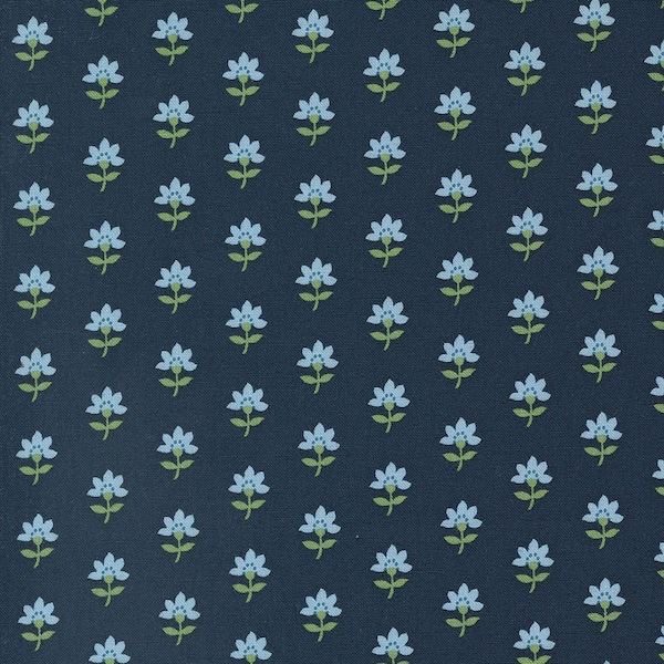Shoreline Navy 555301-14 by Camille Roskelley for Moda Fabrics.Sold in 1/2 yard increments cut as one continuous piece when ordered.