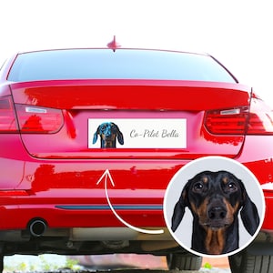 Custom Pet Photo Car Magnet or Bumper Sticker - Personalized Dog & Cat Decal