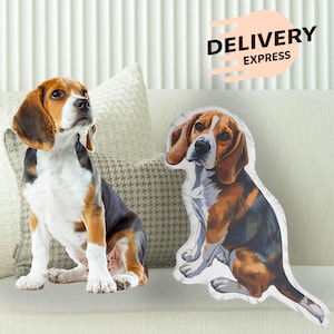 Custom Pet Pillow: Personalized Dog or Cat Photo Pillow, Memorial Gift
