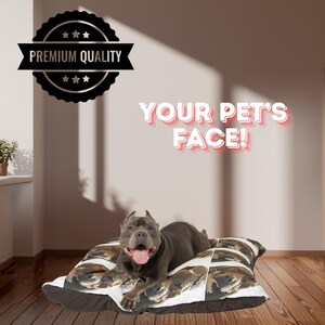 Custom Pet Photo Pillow: Personalized Dog or Cat Gift