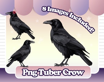 PNGTuber Crow / Raven / Animal PNG V TuberReactive Discord Image PNG Tuber Premade