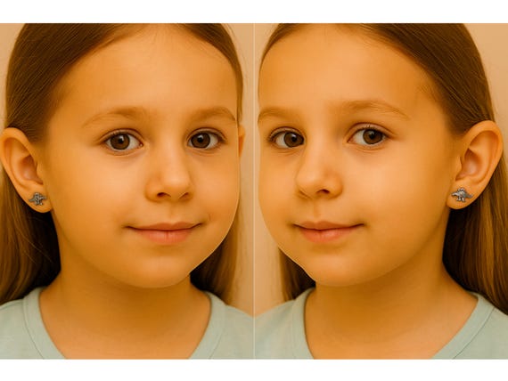 Silver Dinosaur Stud Earrings Set: T-Rex, Stegosa… - image 4