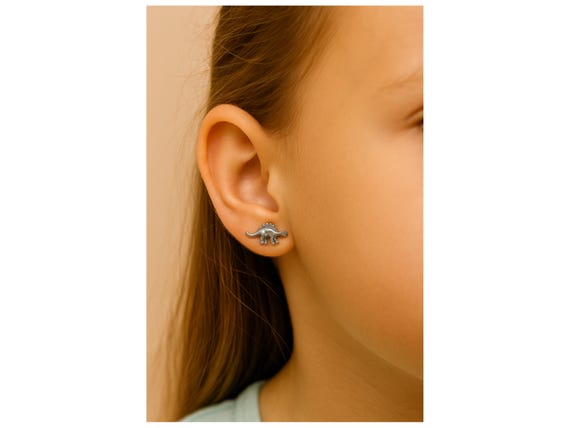 Silver Dinosaur Stud Earrings Set: T-Rex, Stegosa… - image 5