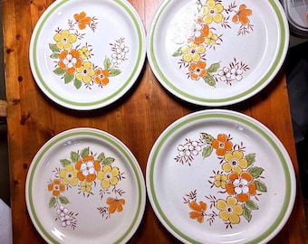 Country Casual Spring Garden Dinner Plates Set of 4 Hand Painted Stoneware Japan