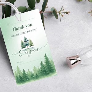 EDITIERBAR Evergreen Tag | Sofortdownload | Wertschätzung Anhänger | Blume, Pflanze, Samen Geschenk | Druckbare Bevorzugung | Danke-Tag | Immergrüner Baum