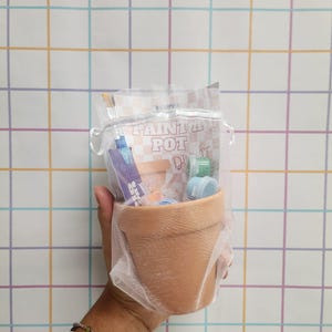 May include: A terracotta-colored flower pot filled with art supplies, including paint tubes and small paint pots. The pot is enclosed in a sheer white bag, with the words "PAINT A POT" visible. The background is a grid pattern.
