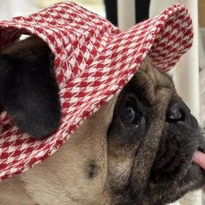 Custom Dog Bucket Hat | Handmade Pet Hat for Small Dogs | Stylish Summer Dog Accessories | Cute Dog Outfit | Puppy Sun Hat