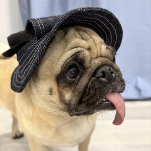 Custom Dog Bucket Hat | Handmade Pet Hat for Small Dogs | Stylish Summer Dog Accessories | Cute Dog Outfit | Puppy Sun Hat