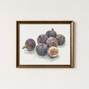Fig Watercolour Print, Kitchen Fruit Art, Purple Figs Wall Decor, Botanical Fruit Artwork, Rustic Kitchen Print, KT Watercolours, P0030