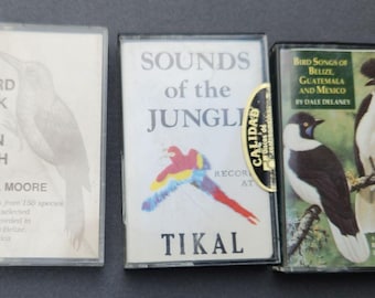 Paseo de aves en Chan Chich Sonidos de la selva Canciones de Belice, Guatemala y México Cintas