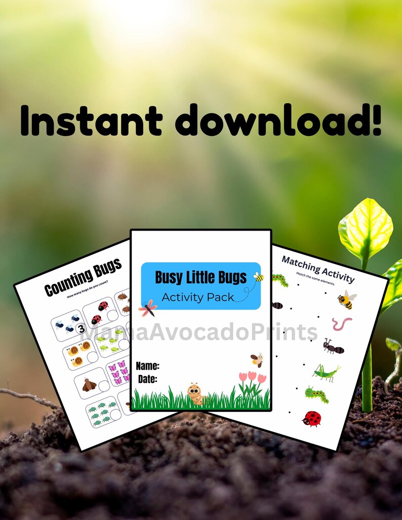 Bug Activity Pack: Preschool Printable Worksheets - Matching, Counting ...