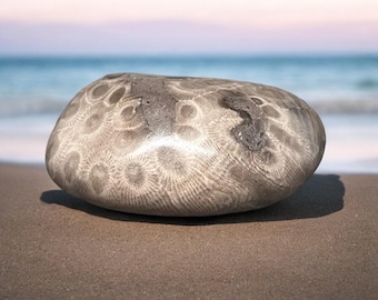 Grade B Polished Petoskey Stone - 4.0 oz - Polished Petoskey Stone - Michigan Gift - Michigan Fossil - Sunbeams of Promise